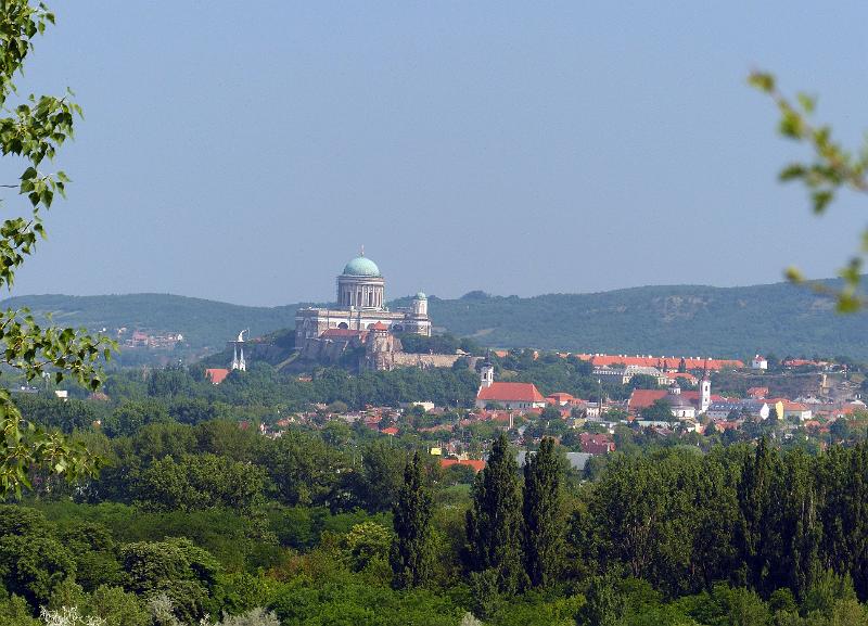 P1290368 (1).jpg